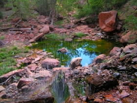 Zion National Park