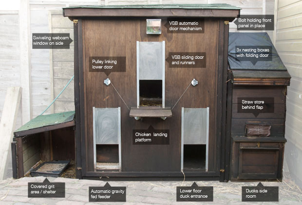 Automated chicken house