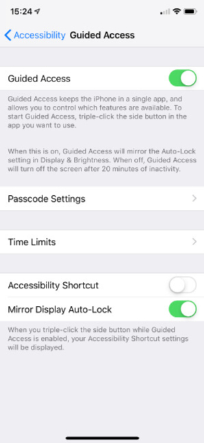 Guided Access settings in an older version of iOS